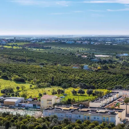 Calm Paradise Close To The *