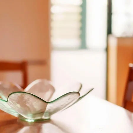 Calm Paradise Close To The *